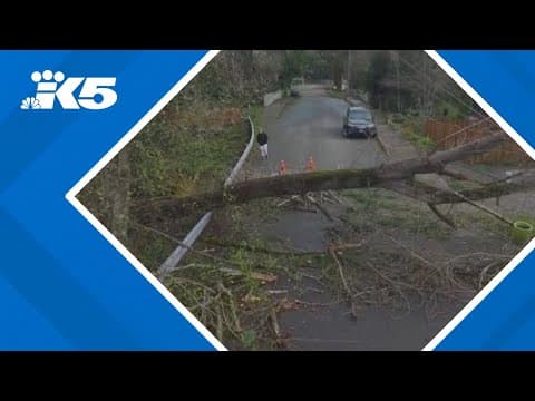 Bomb cyclone fallout prompts Gov. Inslee to request federal disaster declaration