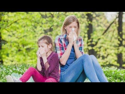 Fast facts to alleviate fall allergies