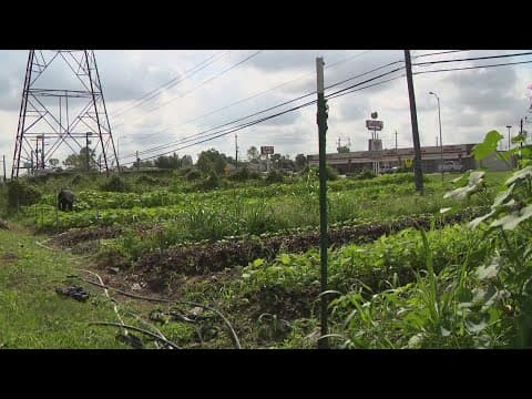Texans Helping Texans | Plant It Forward operates 4 farms in Houston area