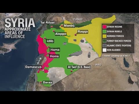 Assad family flees to Russia after Syrian government toppled