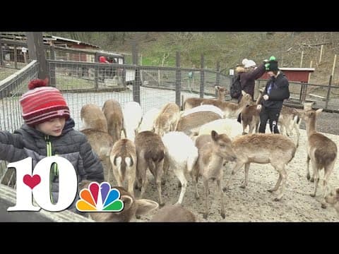 Hometown Spotlight: Smoky Mountain Deer Farm