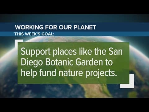 Rare 'corpse flower blooms' at San Diego Botanic Garden | Working for Our Planet