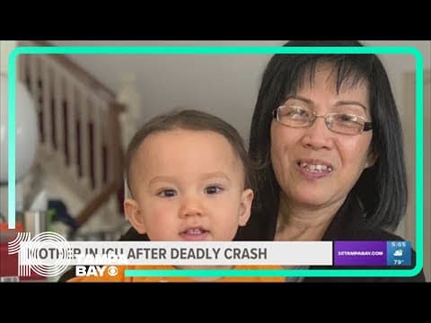 Survivor of deadly Pinellas Park crash fights for life in ICU