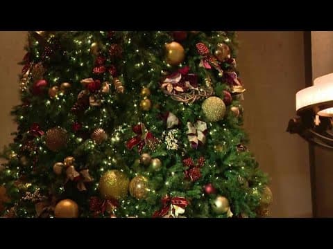 Ohio Statehouse tree lighting ceremony