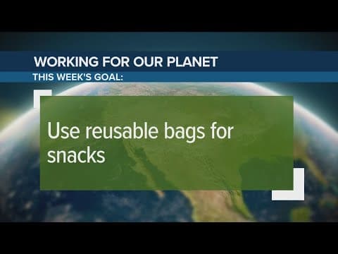 Use reusable bags for snacks | Working for Our Planet