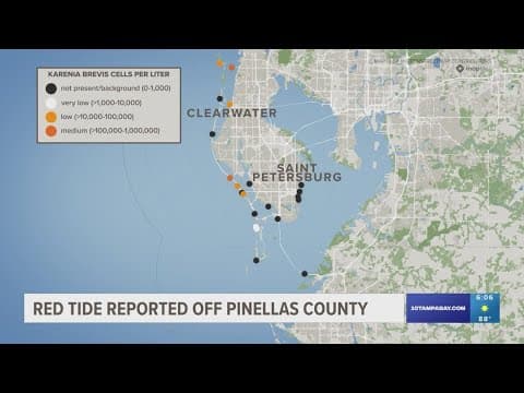 Red tide found in Pinellas County waters, officials say