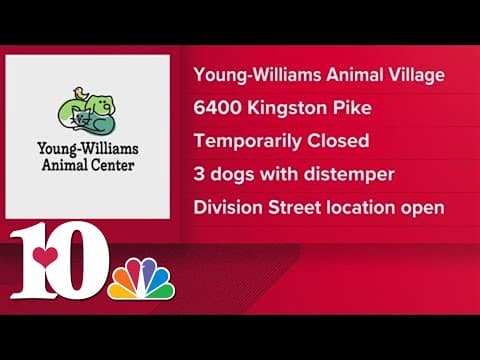 Young-Williams Animal Village temporarily closed after dogs found with distemper