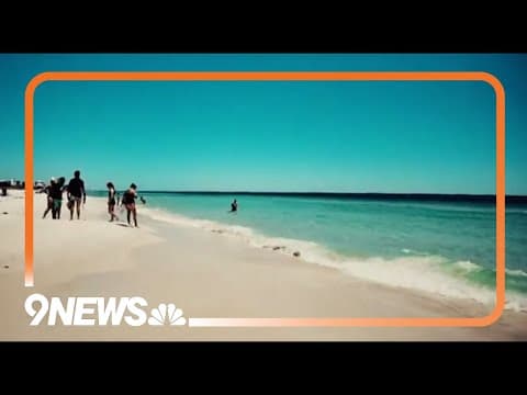 Swimmers injured in Florida shark attacks