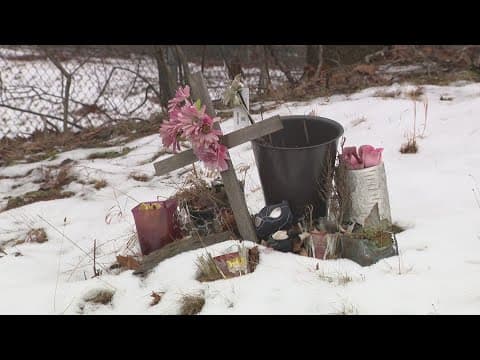 Legislation would bring more speed cameras to Virginia's dangerous roads