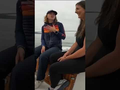 The rules of whale watching on the ‘Blue Super Highway’