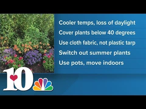 10 Listens: Keeping your yard pretty for fall