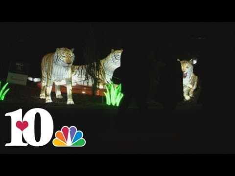 Zoo Knoxville's 'Zoo Lights' event to feature new activities this year