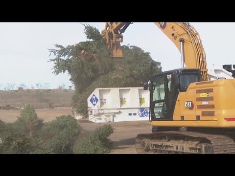 San Diego begins annual Christmas tree recycling program