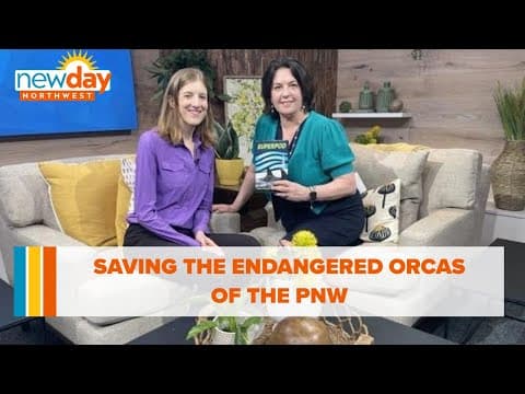 Saving the endangered orcas of the PNW - New Day NW