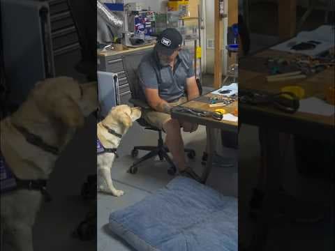 'He saved my life' | Service dog wakes up veteran during silent heart emergency