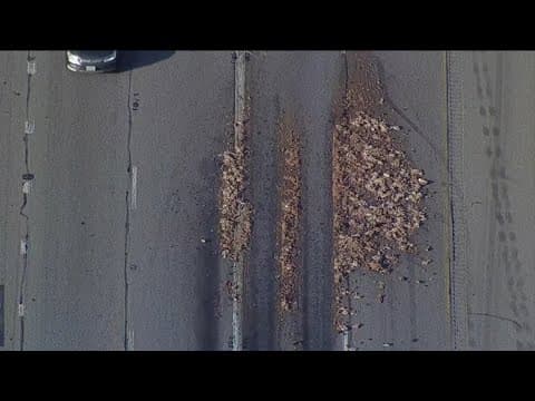 Animal remnants spread across the roadway and shut down three lanes in North Texas