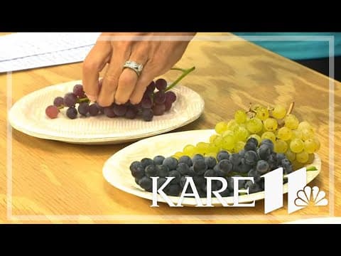 Minnesota fair-goers invited to taste new winter-hardy grapes