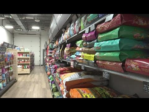 Petflation | How to combat inflation in pet products