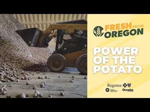 Oregon’s unassuming state vegetable is a food industry powerhouse