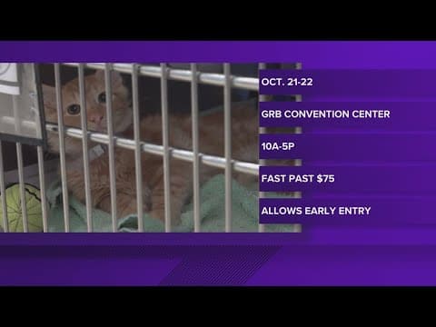 Mega pet adoption event happening in Houston