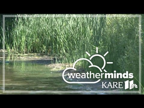 Warmer temps means warmer lake water, and could lead to toxic blue-green algae blooms