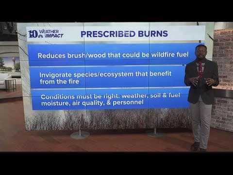 Why prescribed burns are important