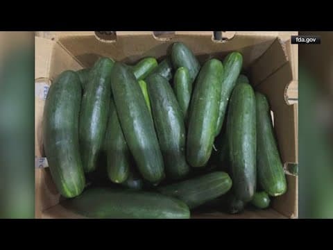 Cucumbers recalled in 14 states due to salmonella risk