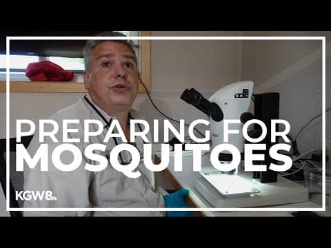 Clark County Mosquito Control District aims to reign in mosquito population