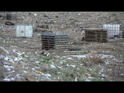 Gov. Newsom urges Congress to act on Tijuana River Valley pollution crisis