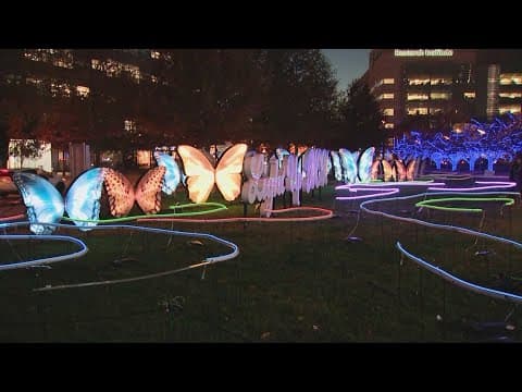 Nationwide Children's illuminates dozens of butterflies for holiday display