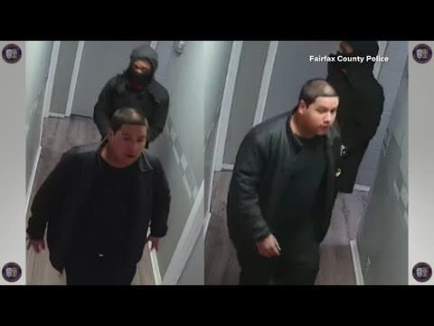 Thieves get away with multiple weapons after gun store burglary in Fairfax County