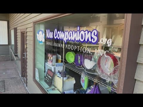 Wee Companions: Animal shelter makes a big deal out of little pets