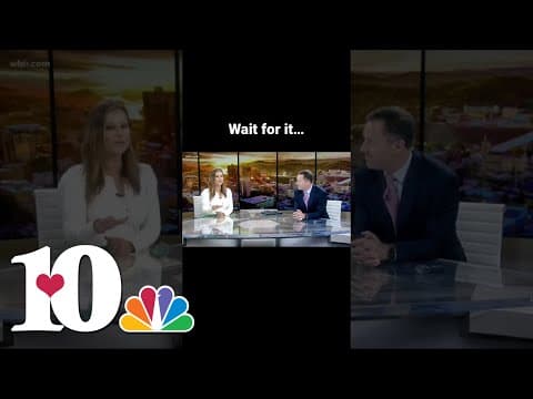 News bloopers…there was a wasp in the studio