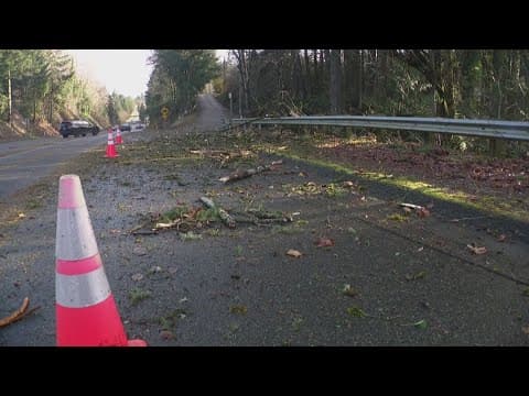 High winds cause damage, power outages in Pierce County