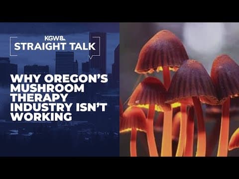 Straight Talk: Why Oregon's legal psilocybin industry is struggling to survive
