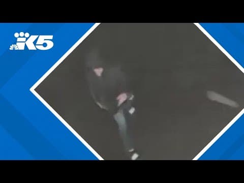 Man caught on camera throwing rocks at mosque in Kent