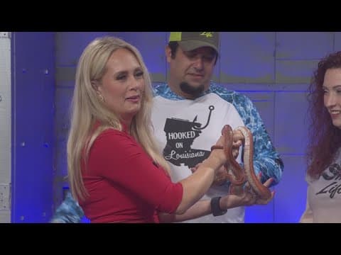 Snakes on a TV set: Louisiana Snake ID shows off some of the reptiles