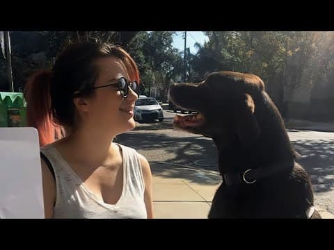 'Pure hell' Mom mourns after deadly hit-and-run, wants safer New Orleans