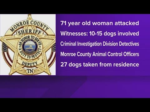 MCSO: Charges pending after elderly woman was attacked by more than 10 dogs