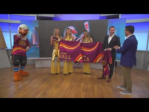 San Diego Gulls Disco Night Saturday