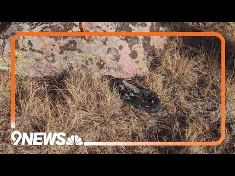 Possible belongings of woman missing since 2005 found