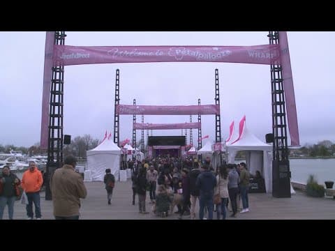 What to expect from Petalpalooza at the Cherry Blossom Festival