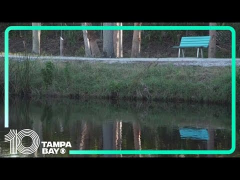 Gulfport city leaders taking action to address flooding concerns