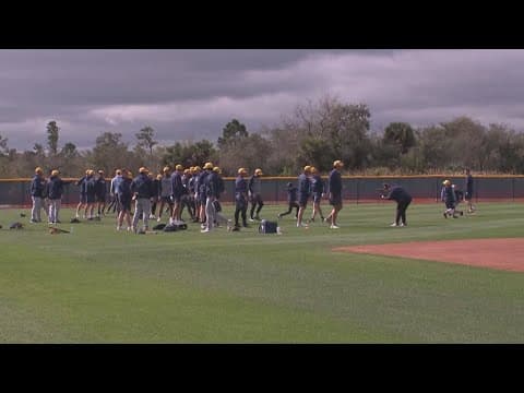 PSTA is offering free shuttles to Rays' spring training games