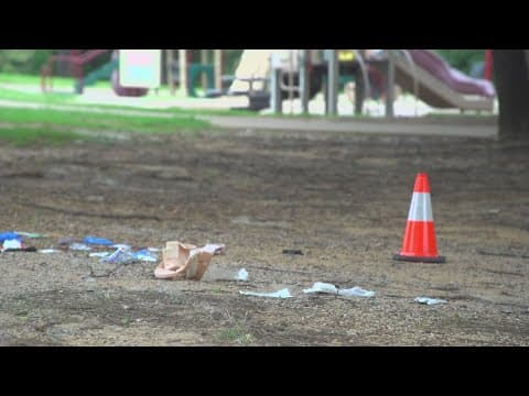 Arlington police release dashcam video and new information about the leadup to a fatal shooting at a