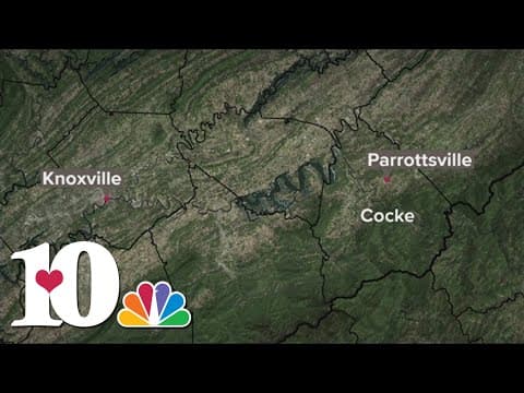 Cocke County man who drove school buses for nearly 5 decades dies in car crash