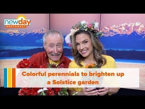 These colorful perennials will brighten up your Solstice garden - New Day NW