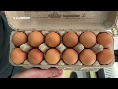 Egg prices hit new high, defying Trump and expert predictions