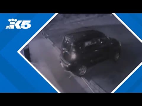 Surveillance video captures burglars rip doors off Seattle convenience store