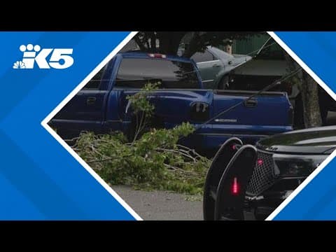 Heavy rain followed by strong winds caused damage, power outages across western Washington